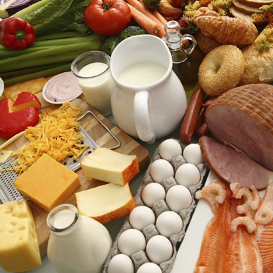 Организация сертификации еды и напитков